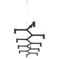 Nemo Crown Plana Linea