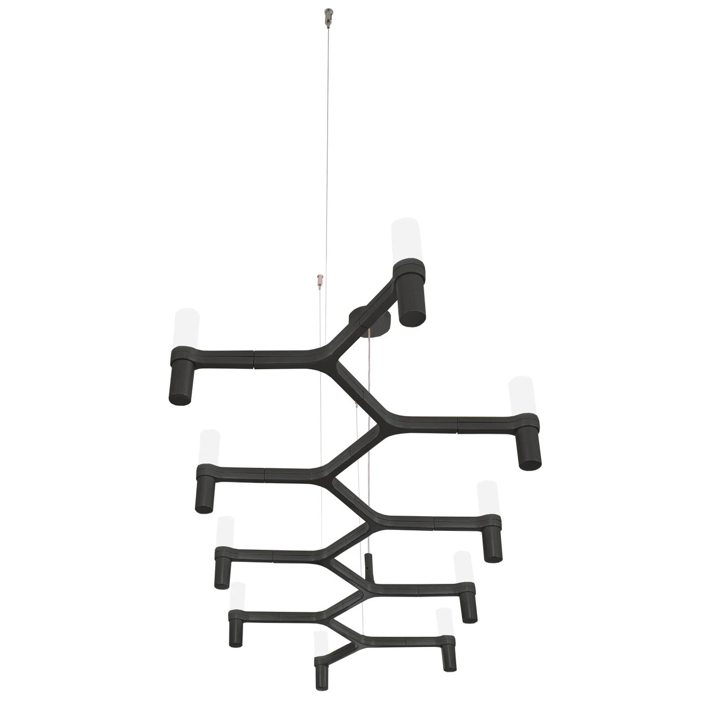 Nemo Crown Plana Linea