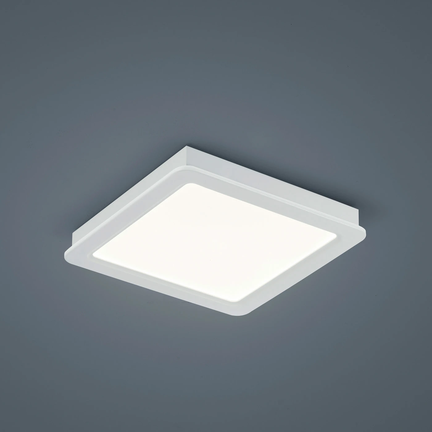 Helestra Pavo 25 Deckenleuchte – Bild 4